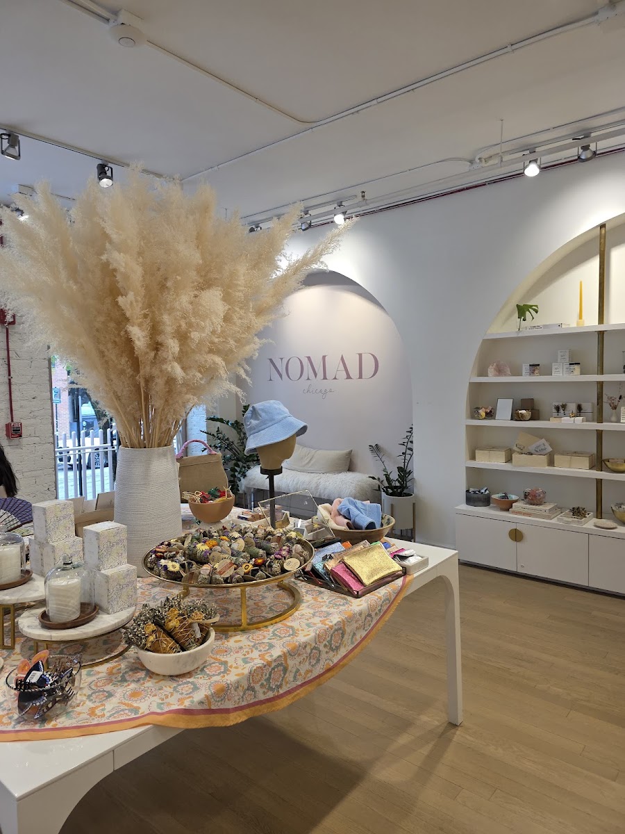 Nomad-Chicago Chicago Photos 2